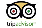 Write a TripAdvisor Review